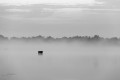 thierry_t brenne sept 2017 7